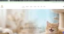 professional wordpress website setup