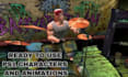 create retro ps1 n64 ps2 lowpoly 3d characters and animations for games, music