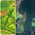 create a custom illustrated map