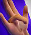 create 3d anatomy animation human anatomy animation 3d anatomical models