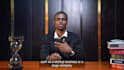 do website development, business website, and wordpress website development
