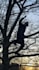do voice acting or narration for you