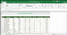 clean, format, and orgnized your excel data professionaly