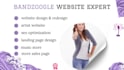 design a bandzoogle or music glue music website and merch store for your brand
