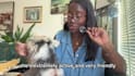 make relatable pet content for brands