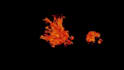 do vfx fire explosion effect, smoke effect, horror effect, compositing particle