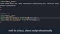 fix your website issues fast, HTML, CSS, js