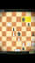 edit your chess videos professionally