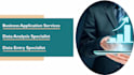 provide customer support, application support, data entry