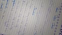 write neat and professional handwritten assignments for you