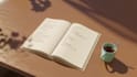 create a professional animated book trailer for your childrens book
