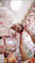 do professional wedding video editing and events