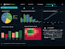 create a professional data analytics dashboard in excel, tableau or powerbi