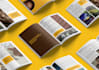 design a unique visual and brand identity