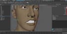 fix 3d face control rig, skin weighting,face expressions,lip syncing, blendshape
