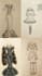 design elegant custom dress sketches