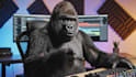 create professional ai generated promo videos with veo 3