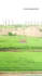 do quantity surveying really good on ongoing construction activity