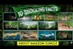 design professional thumbnails for your videos