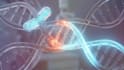 ai explainer video, body anatomy, medical animation, surgery animation