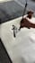 create authentic chinese calligraphy and custom tattoo design