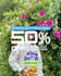 create an instagram ads design