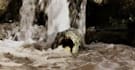 create realistic houdini flip water and fluid simulation
