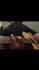 teach you guitar from basic to intermediate with live online lessons