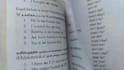 translate text into any language