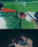 do professional video editing and canva design
