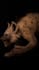 sculpt stylized 3d characters or creatures in blender