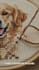 create a custom cross stitch pattern from your photo