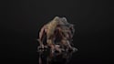 create realistic 3d animal model dog anatomy fbx animation texturing 3d rigging