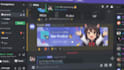 setup custom and professional discord server