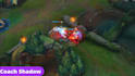 professionally coach you in league of legends