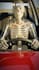 create dr data style ai skeleton animation short video