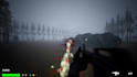 develop your unreal engine 5 fps or multiplayer game