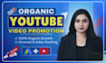 do organic youtube video promotion through google ads