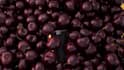create 3d beverage animation, soda can, energy drink cgi video