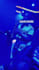 record professional saxophone solo in any style