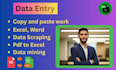 do data entry, copy paste, excel data entry, data conversion