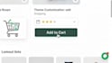 do shopify custom coding, bug fixing and shopify theme customization