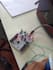 develop arduino esp32 iot projects and embedded systems