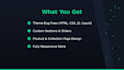 be your shopify expert to customize and fix theme issues