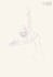 ilustrate original charapter lineart