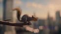 do cinematic ai short film with seedance runway seedance 2 5
