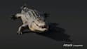 create realistic 3d animal model, 3d character design, fur and grooming
