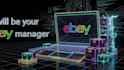 be your ebay account manager