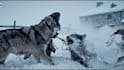 create nomads surviving documentary video in coldest weather