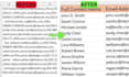 do excel data cleaning, formatting, and deduplication for business datasets